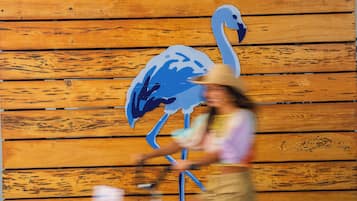 A person riding a bicycle past a wooden wall with a blue flamingo mural.