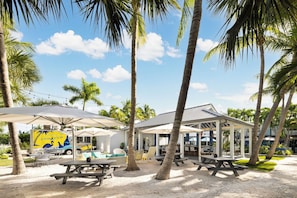 Un complexe hôtelier en bord de mer, avec des palmiers, des espaces de restauration en plein air et un camion-restaurant.