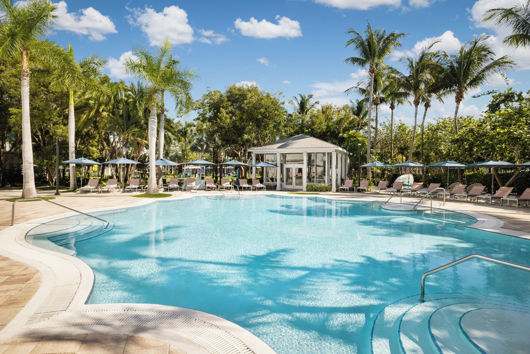 A clear blue swimming pool with lounge chairs and umbrellas, surrounded by palm trees.