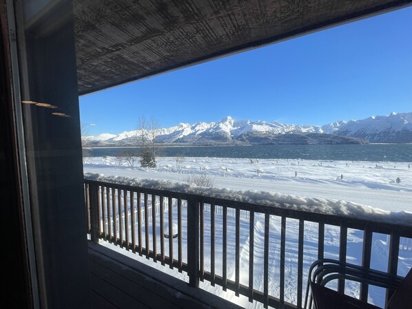 Vista desde la propiedad