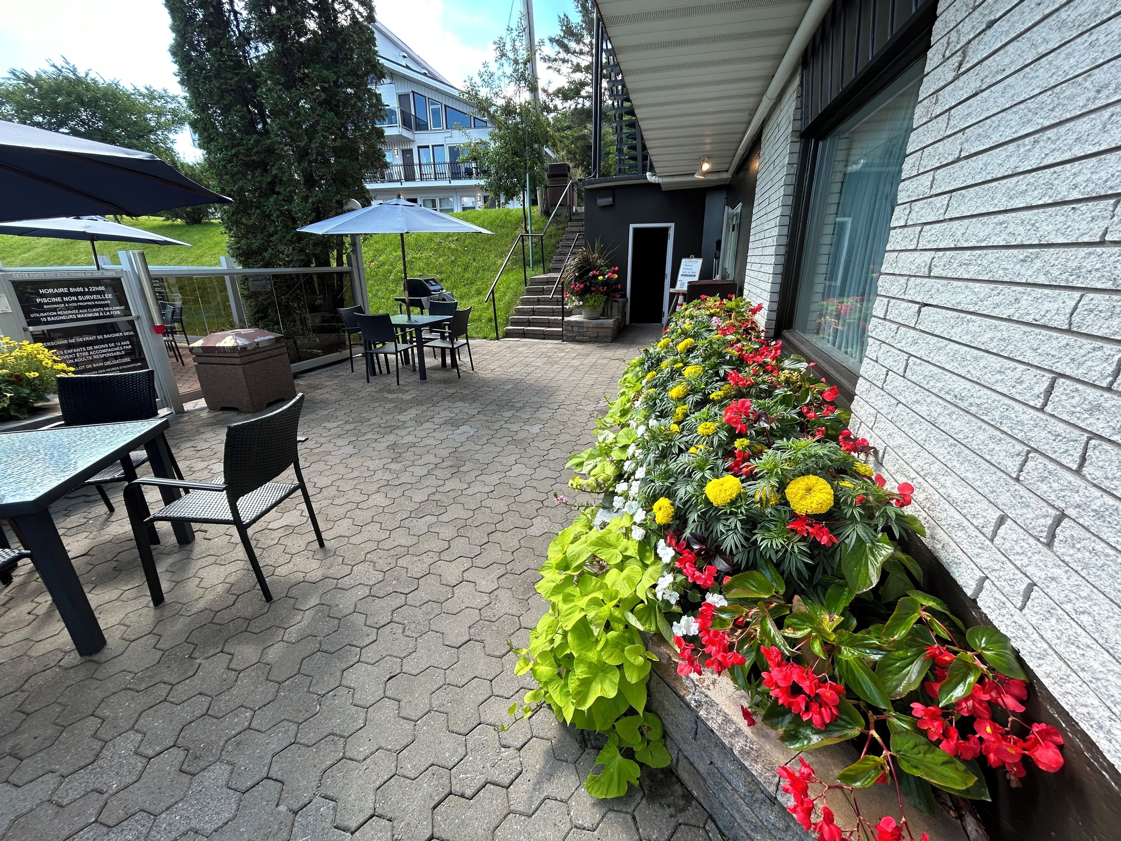 Un pati amb paviment hexagonal, mobiliari exterior i una jardineria.