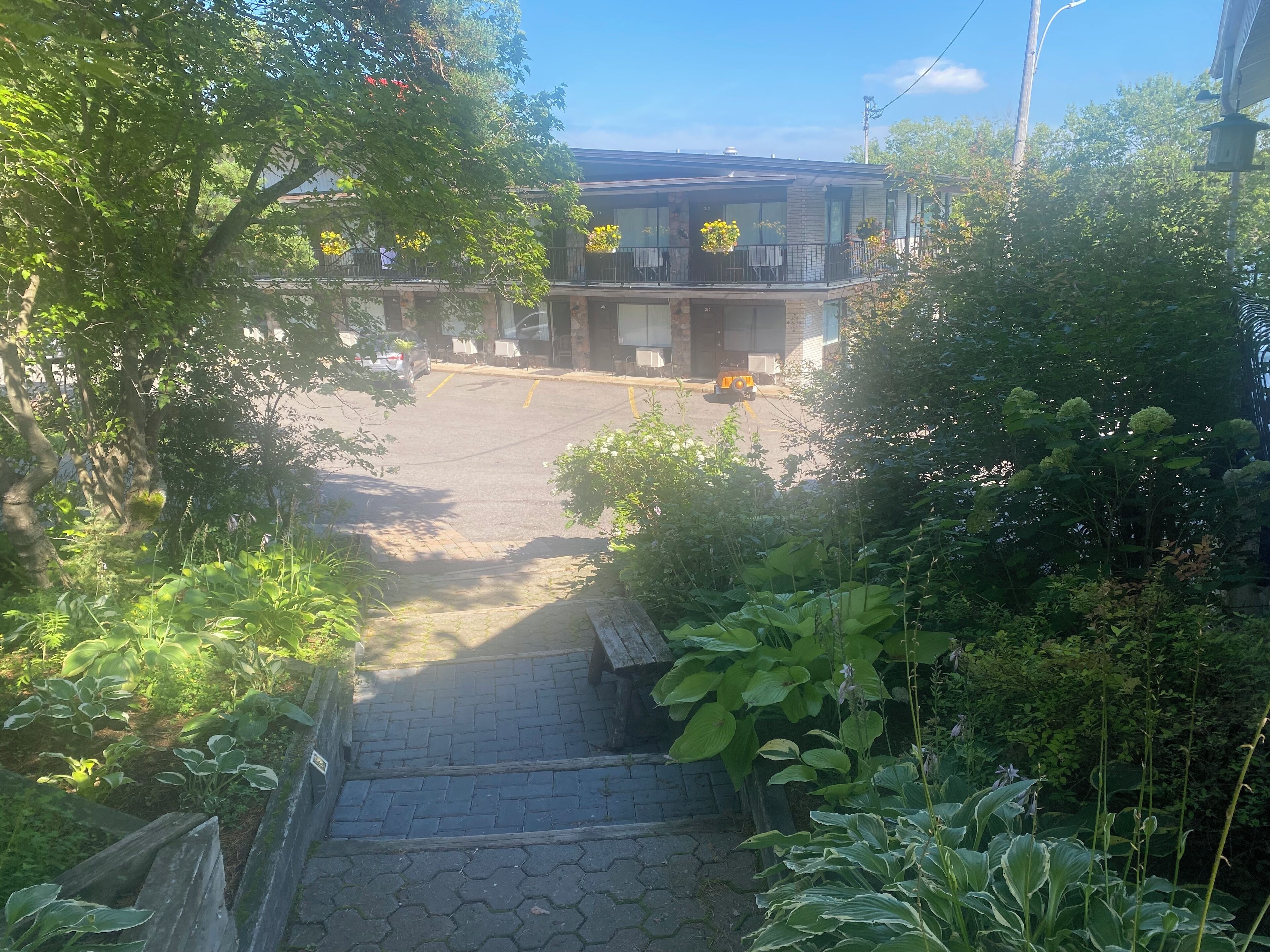 Vista de un edificio con zona de estacionamiento y escaleras que lo conducen, rodeado de vegetación.