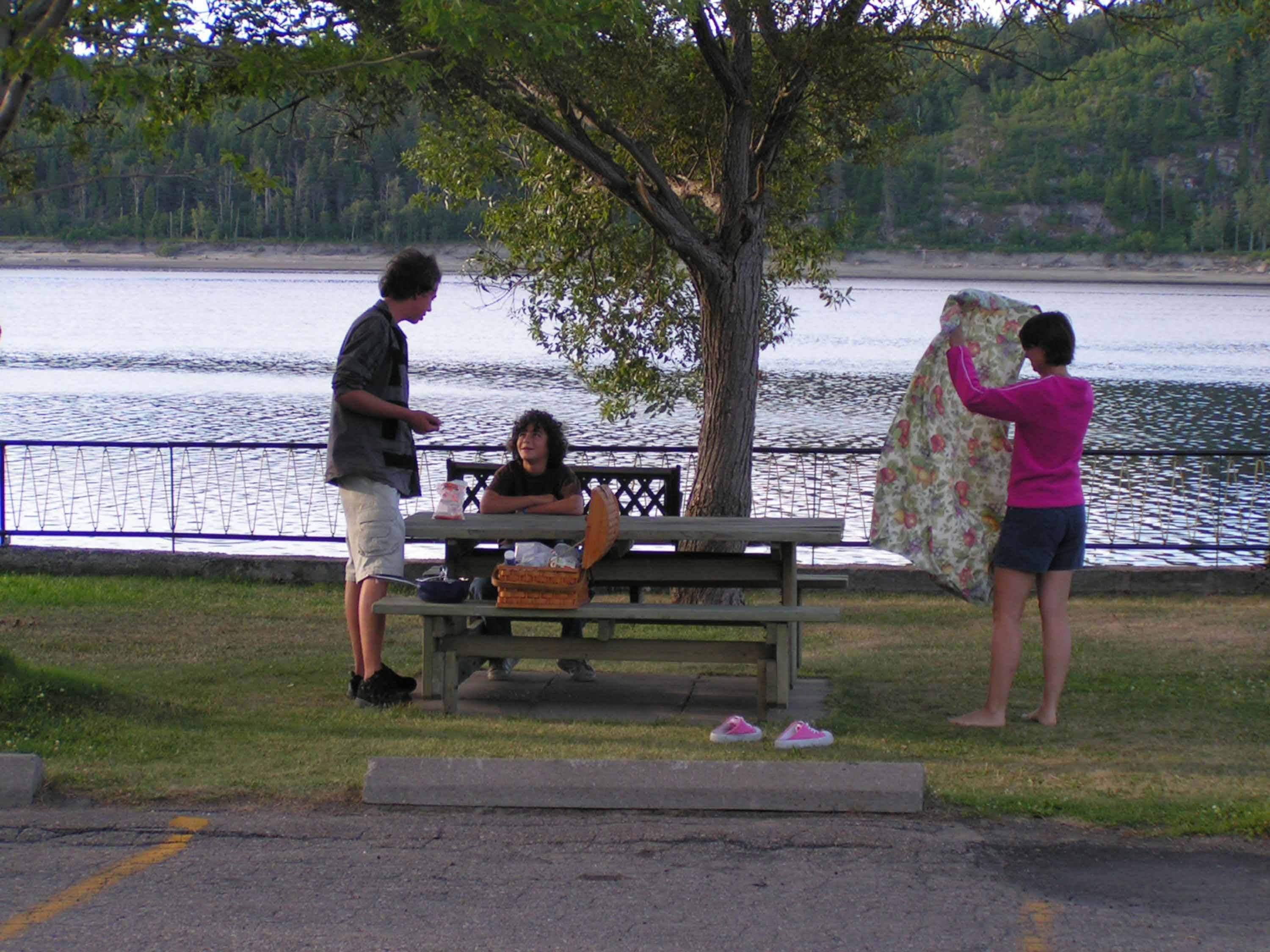 Una mesa de picnic junto a un lago, con un banco, un árbol y una persona de pie cerca.