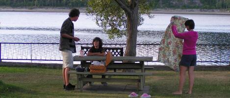 Una mesa de picnic junto a un lago, con un banco, un árbol y una persona de pie cerca.