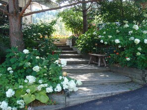 Tuin