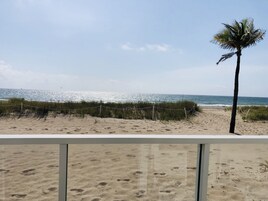 Une vue sur la plage avec un palmier, du sable et l’océan.