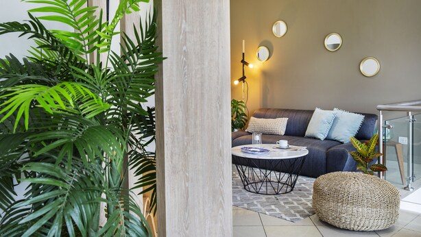 A modern living room with a sofa, round coffee table, and a large plant. - Palmetto Hotel Business La Perla (Callao)
