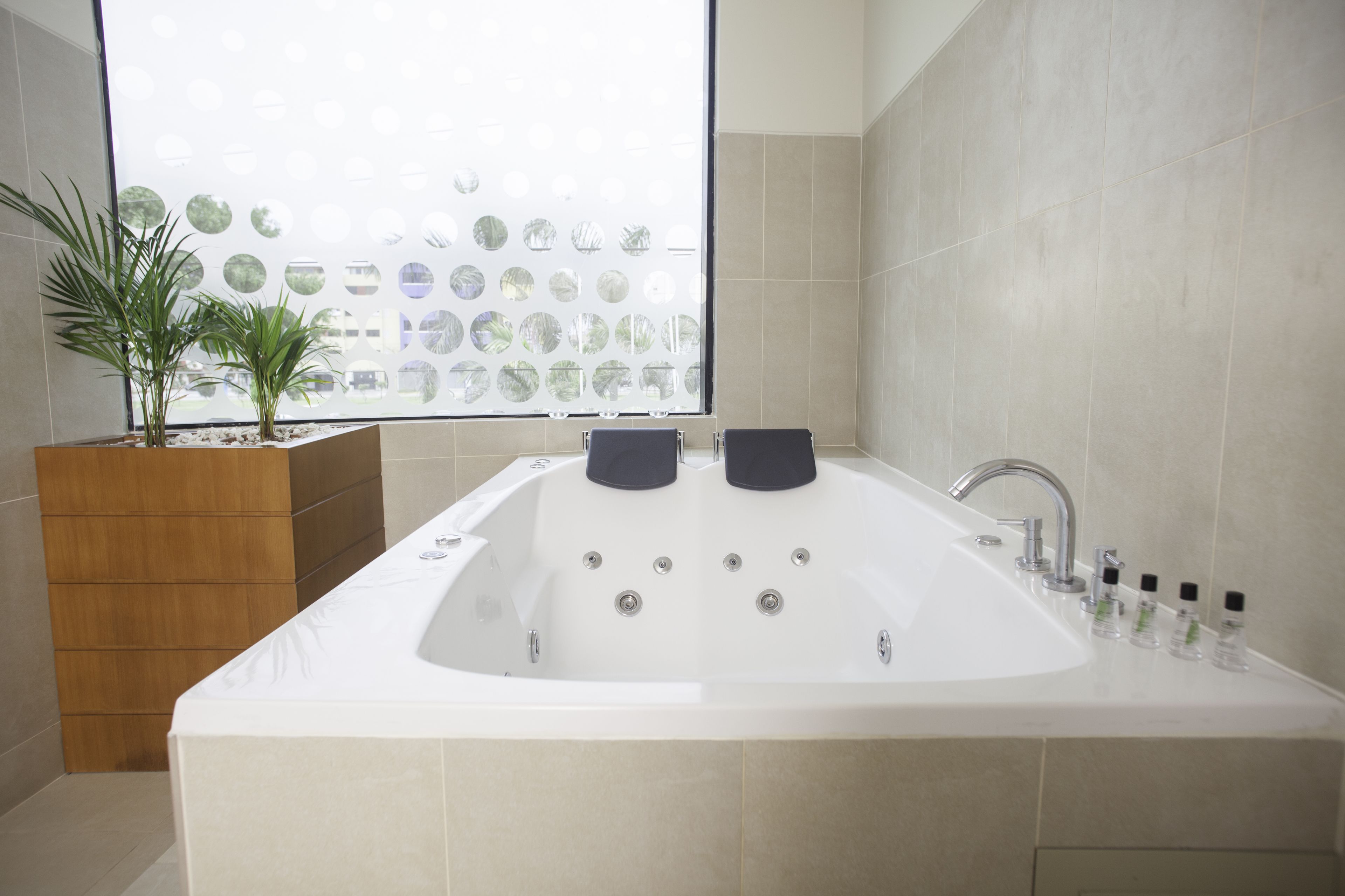 Foto - Palmetto Hotel Business La Perla