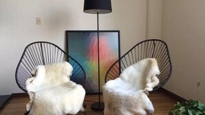 Living area - Stunning 2 Beds Apt WiFi in Polanco (Mexico City)