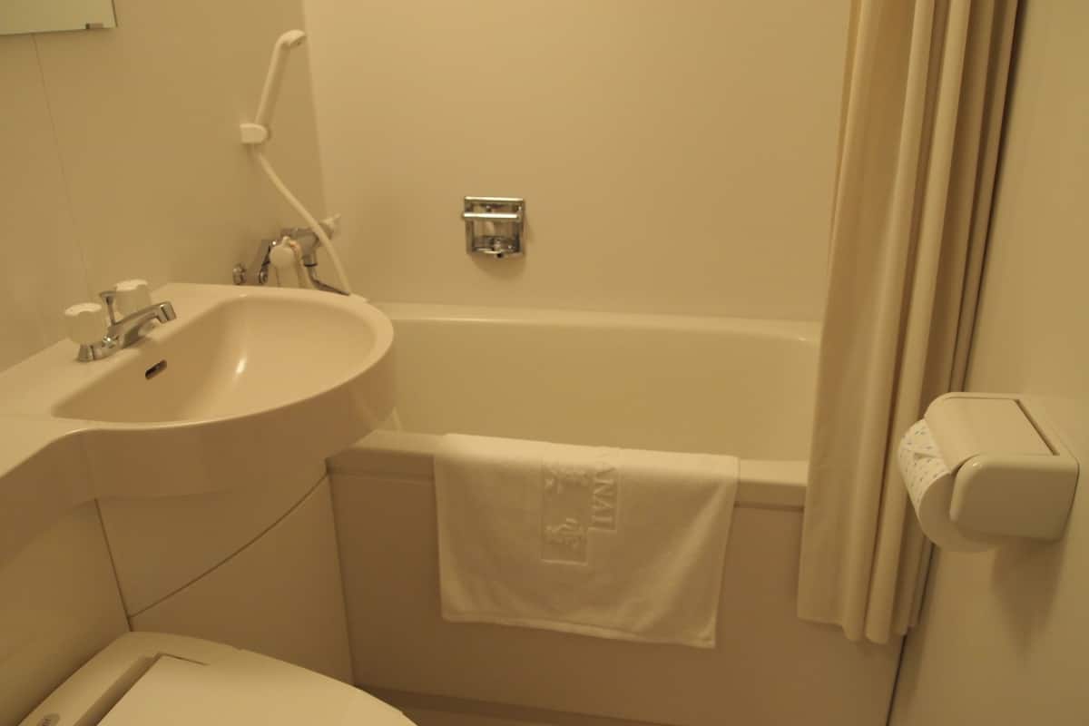 free toiletries, hair dryer, slippers, bidet