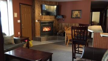 Televisión de pantalla plana, chimenea y reproductor de DVD