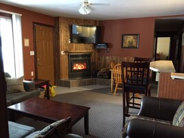 Televisión de pantalla plana, chimenea, reproductor de DVD