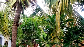 Standaard tweepersoonskamer, 1 tweepersoonsbed | Terras