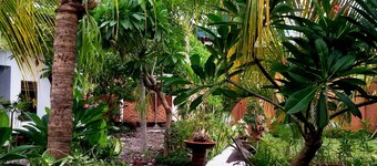 Mami In Homestay