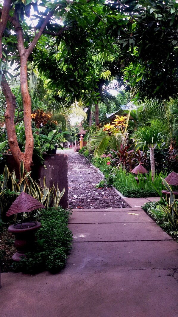 Utsikt fra overnattingsstedet