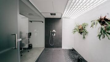 Chambre Affaires | Douche de la salle de bain