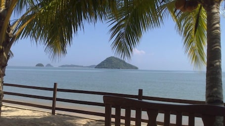 Vista desde la propiedad