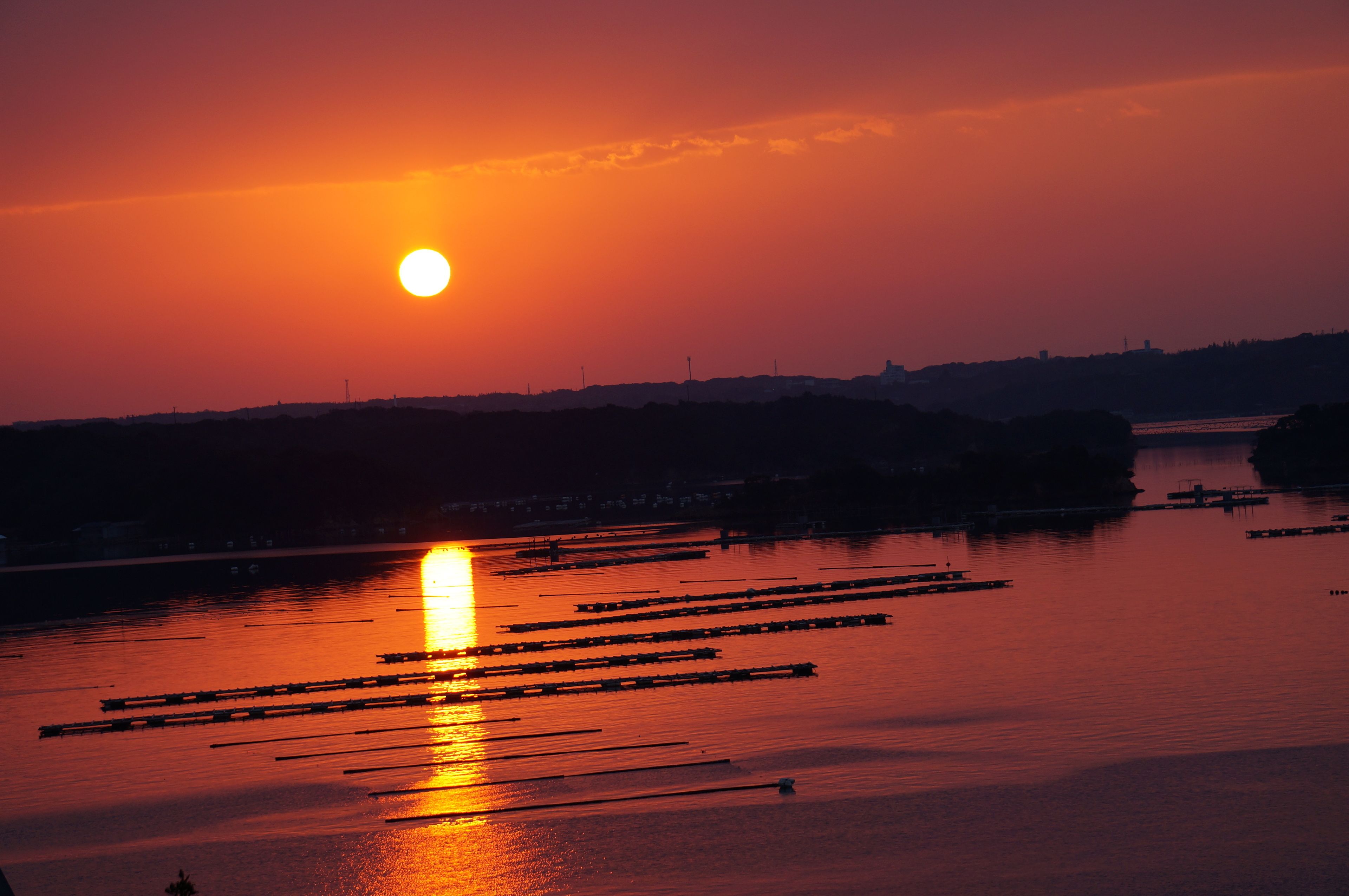 部屋からの景観