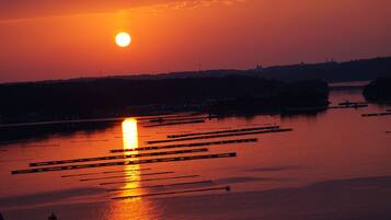 Udsigt fra værelset