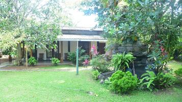 A traditional house with a tiled roof, surrounded by lush greenery and a small pond.