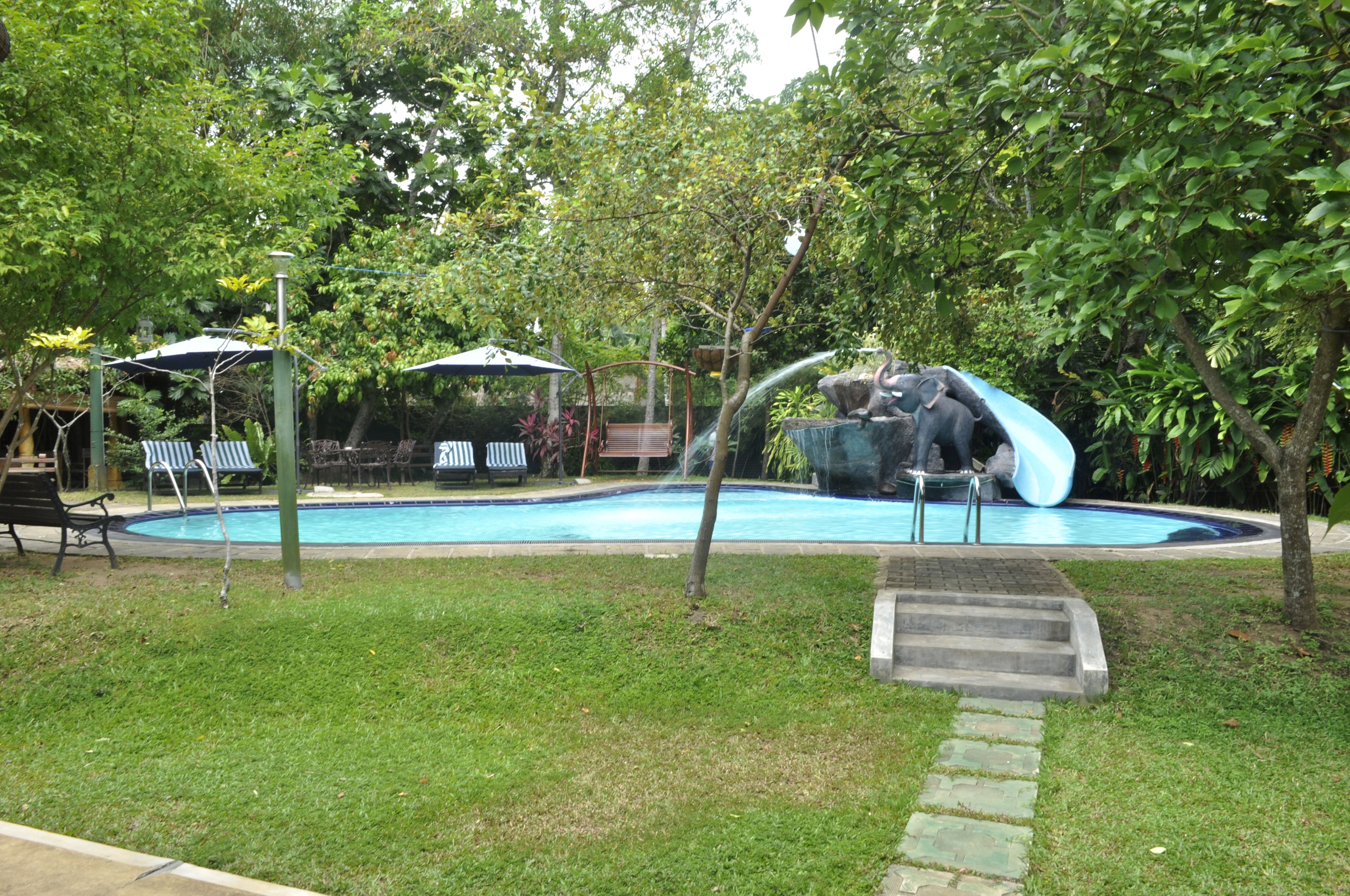 A swimming pool with a water slide, surrounded by grass and trees.