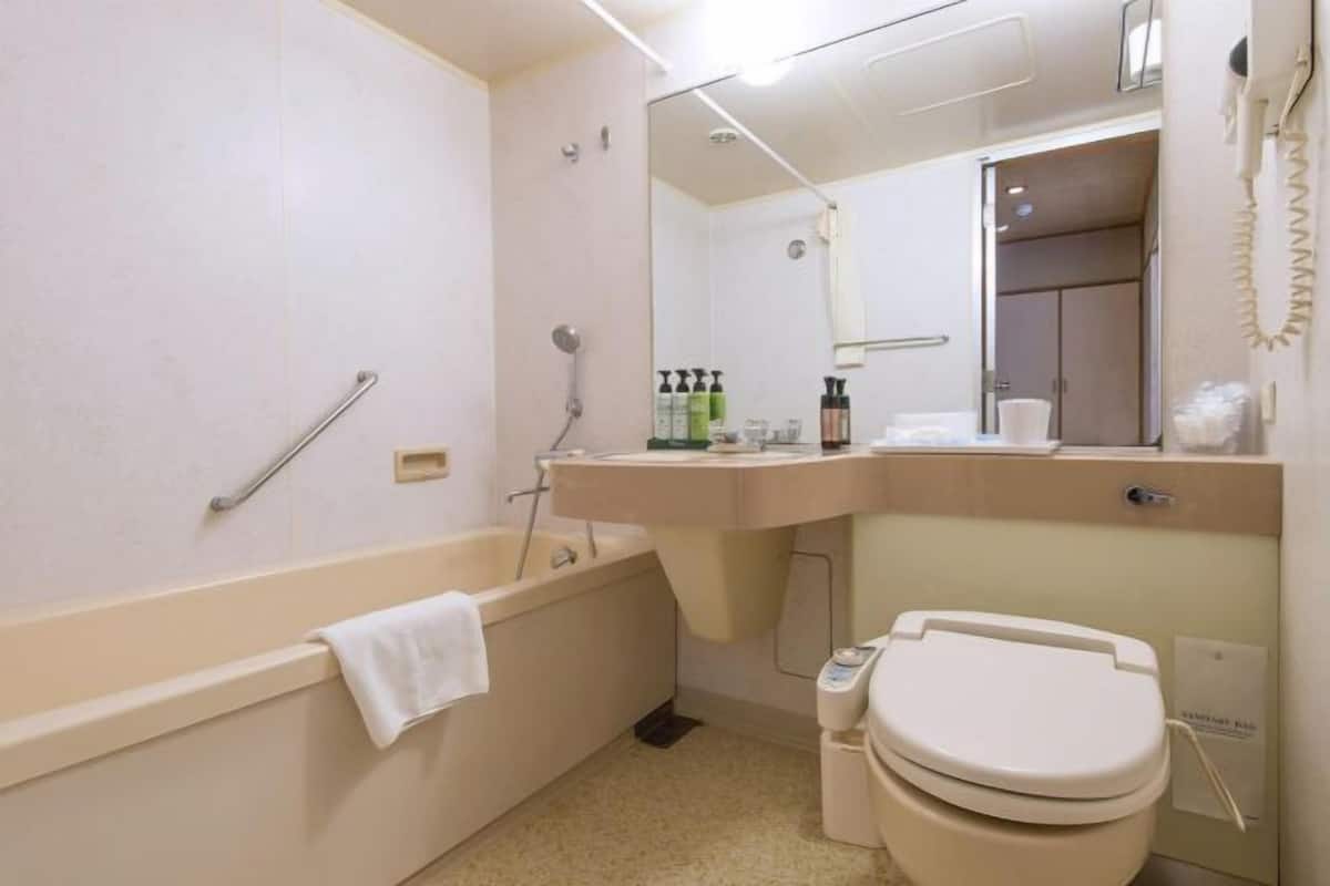 Combined shower/bathtub, free toiletries, hair dryer, slippers