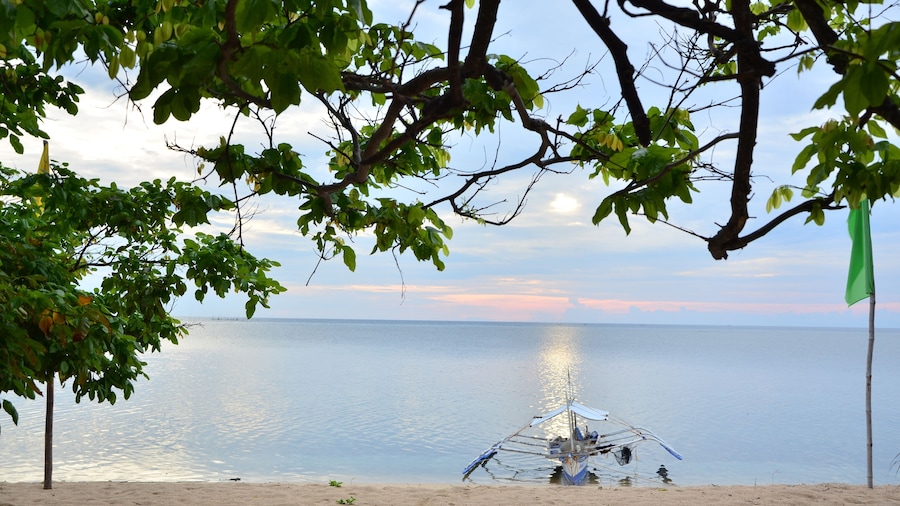 Arena Island Resort
