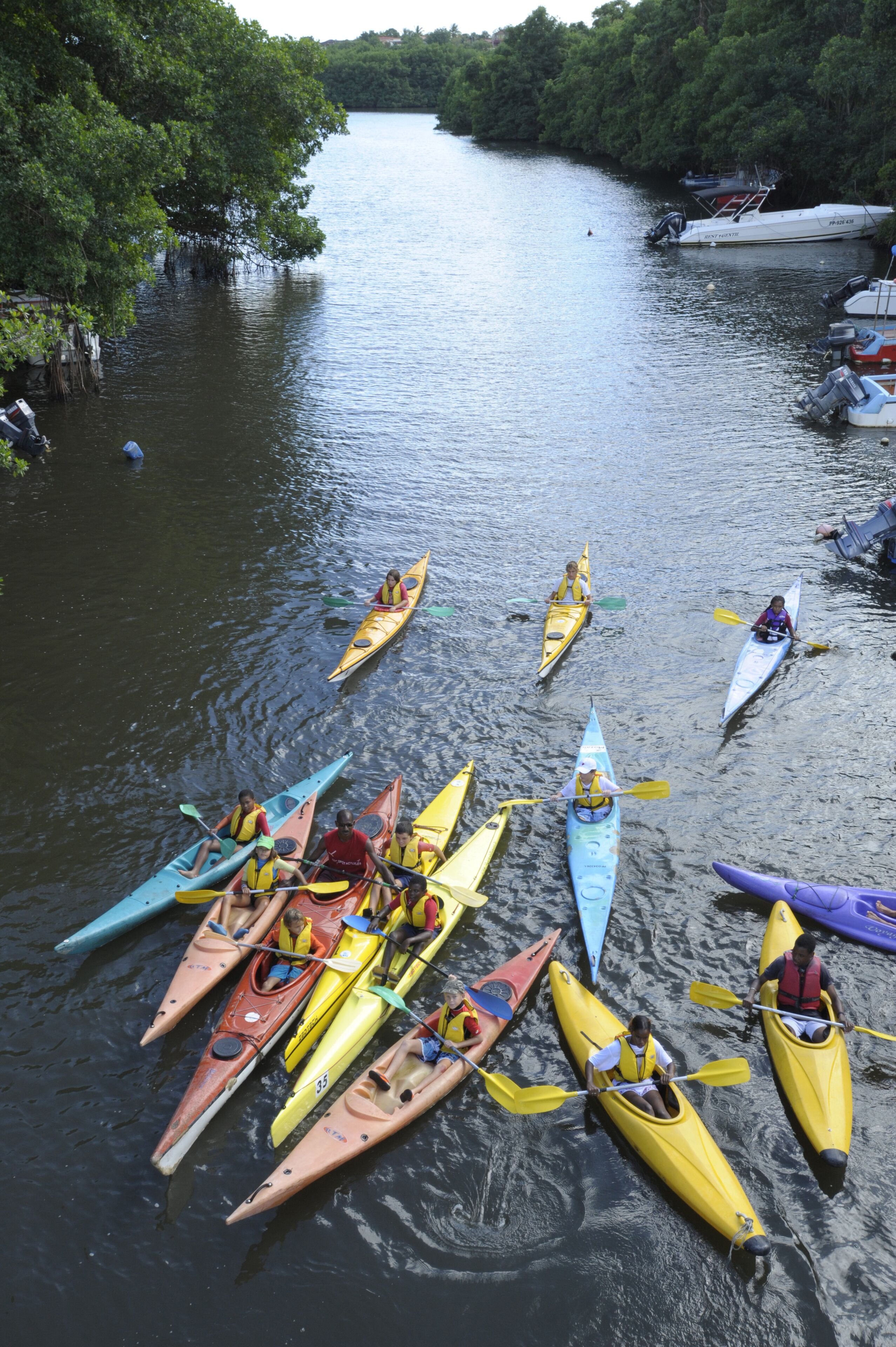 Een groep kano's afgemeerd langs een rivieroever.