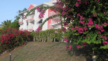 واجهة المنشأة