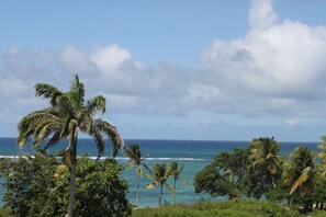 إطلالة على البحر/الشاطئ