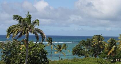 Résidence Tropicale