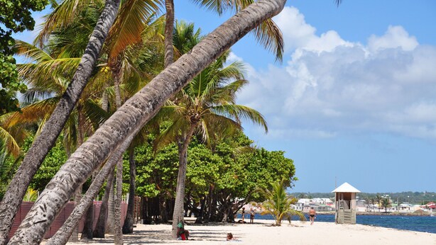 A beach with palm trees, a lifeguard tower, and a clear blue sky. - Résidence Tropicale (Le Moule)
