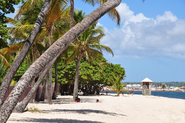 Beach nearby - Résidence Tropicale (Le Moule)