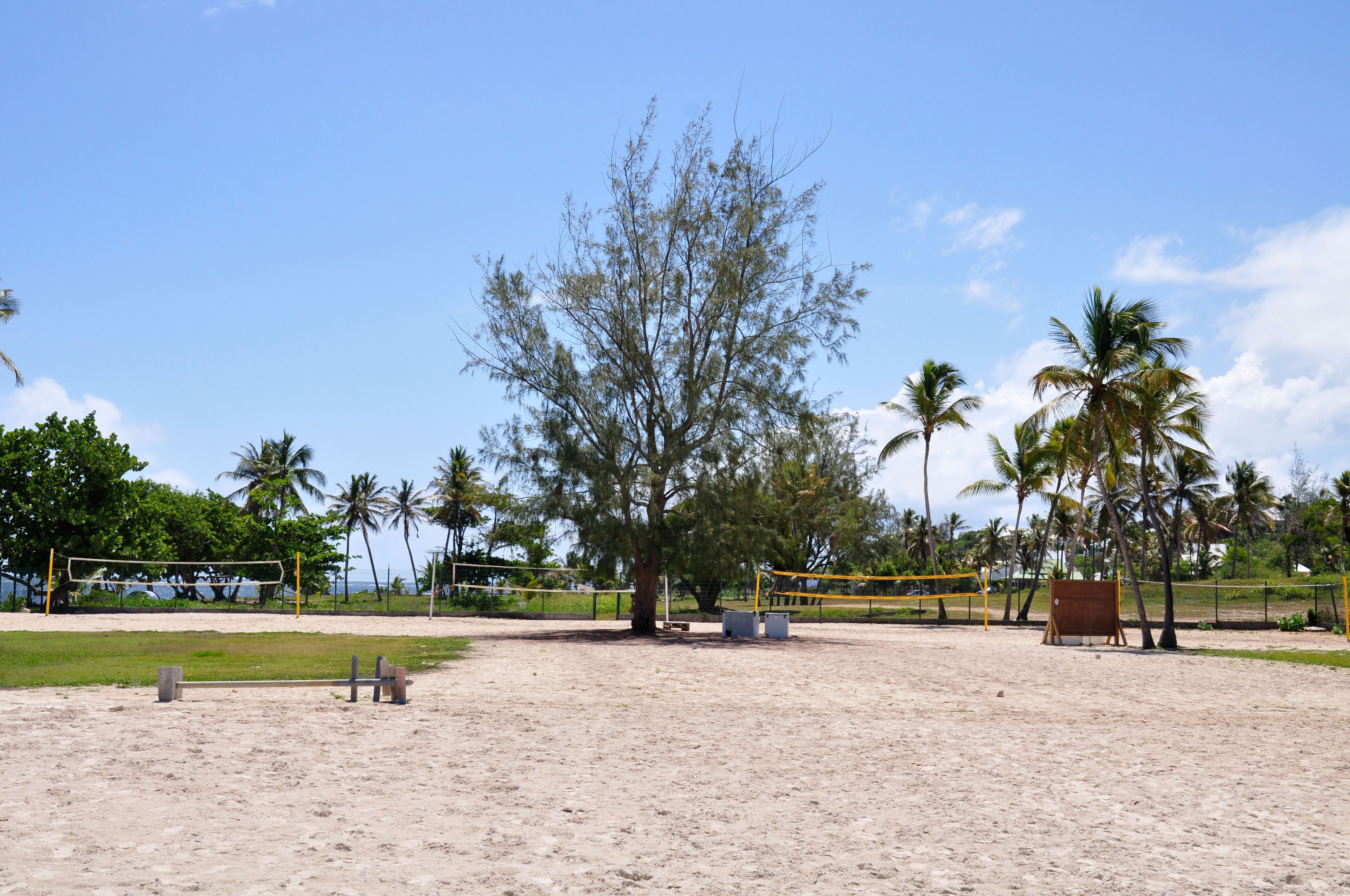 A beach volleyball court with net, sand, and palm trees.