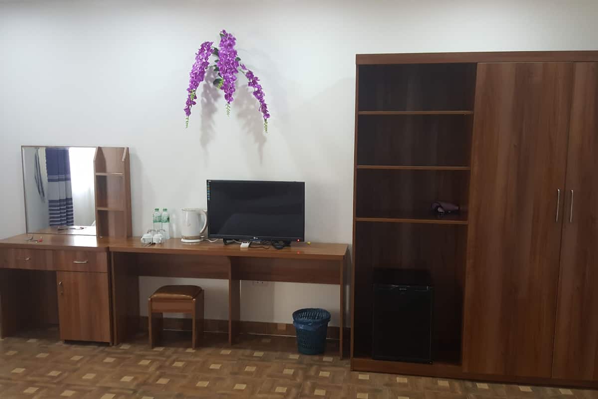A room with a wooden desk, a computer, a mirror, a wardrobe, and a purple hanging plant.