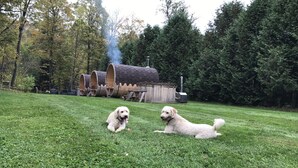 Dos perros en un campo de hierba, con una estructura de madera que emite humo al fondo.