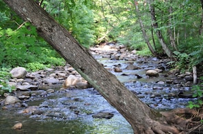Un cours d’eau naturel, bordé de rochers et d’arbres, au cœur d’une forêt.