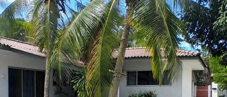 Udsigt fra overnatningsstedet