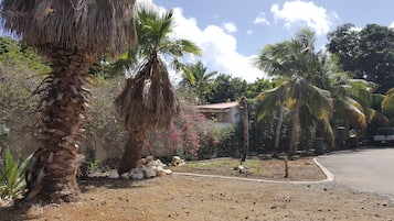 Vista desde la propiedad