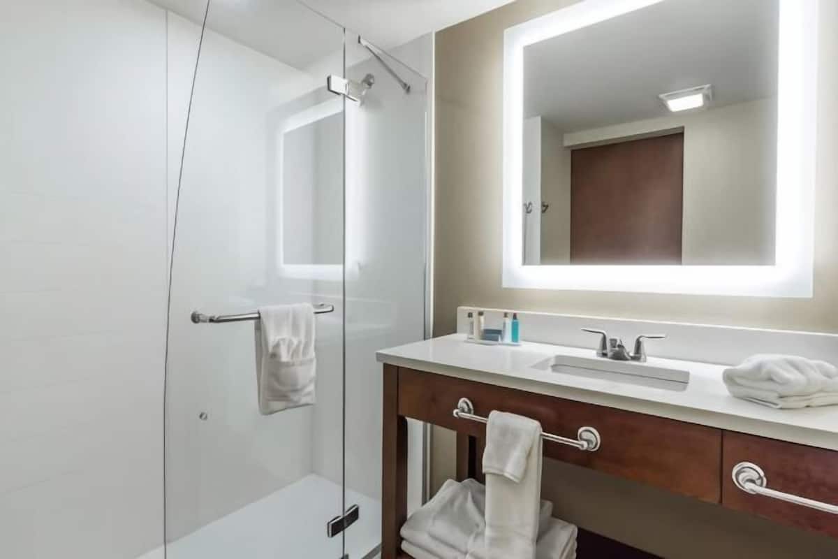 A modern bathroom with a glass shower enclosure, a white sink, a large mirror, and wooden cabinetry.