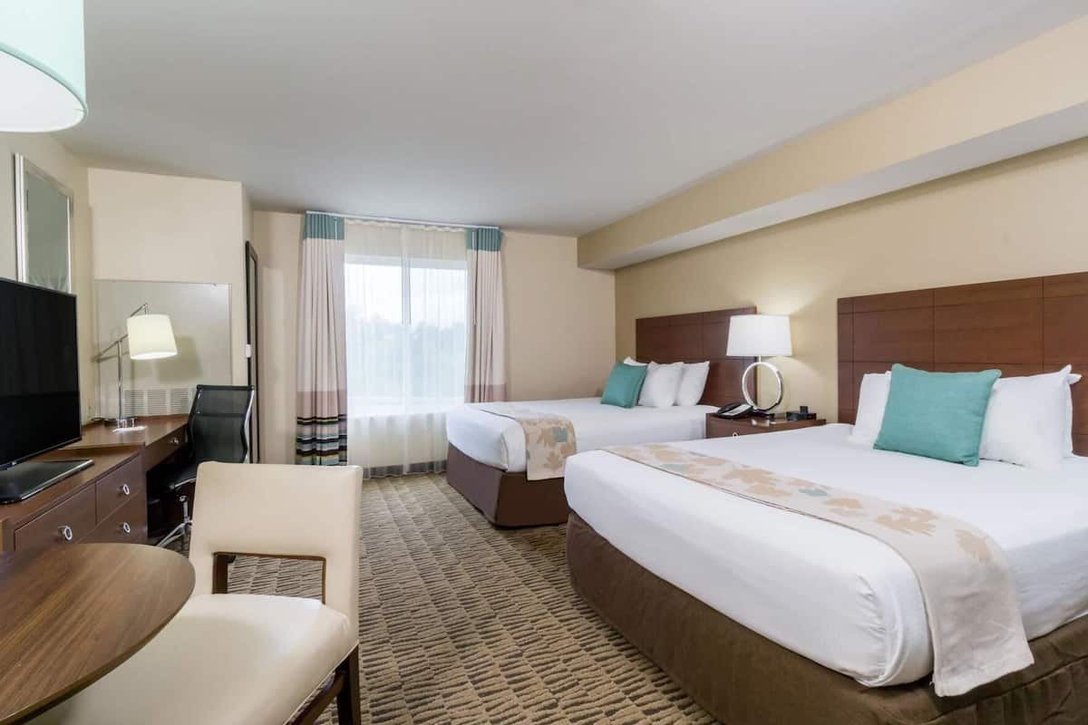 Premium bedding, down comforters, in-room safe, desk