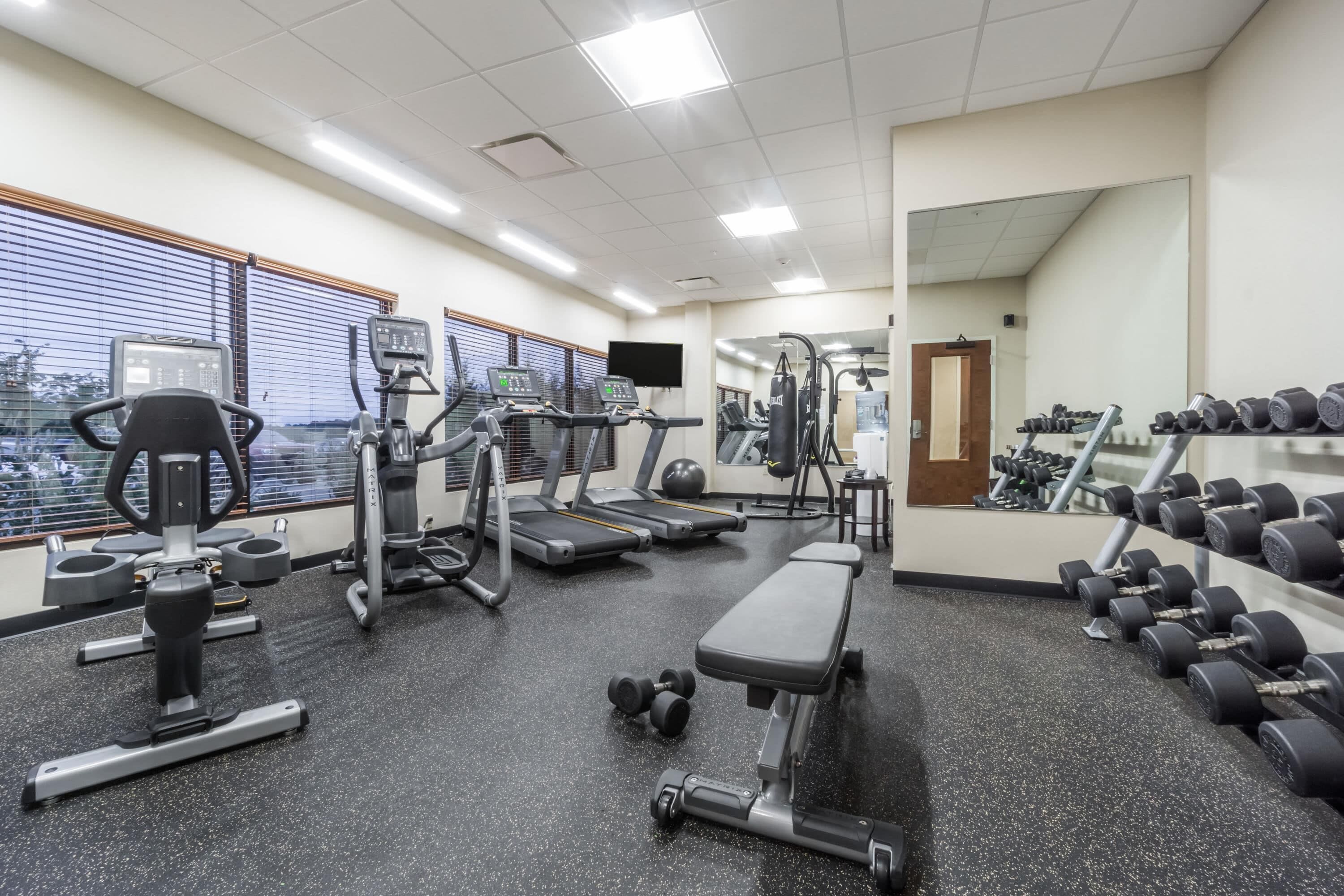A gym with treadmills, elliptical machines, a bench, and dumbbells.