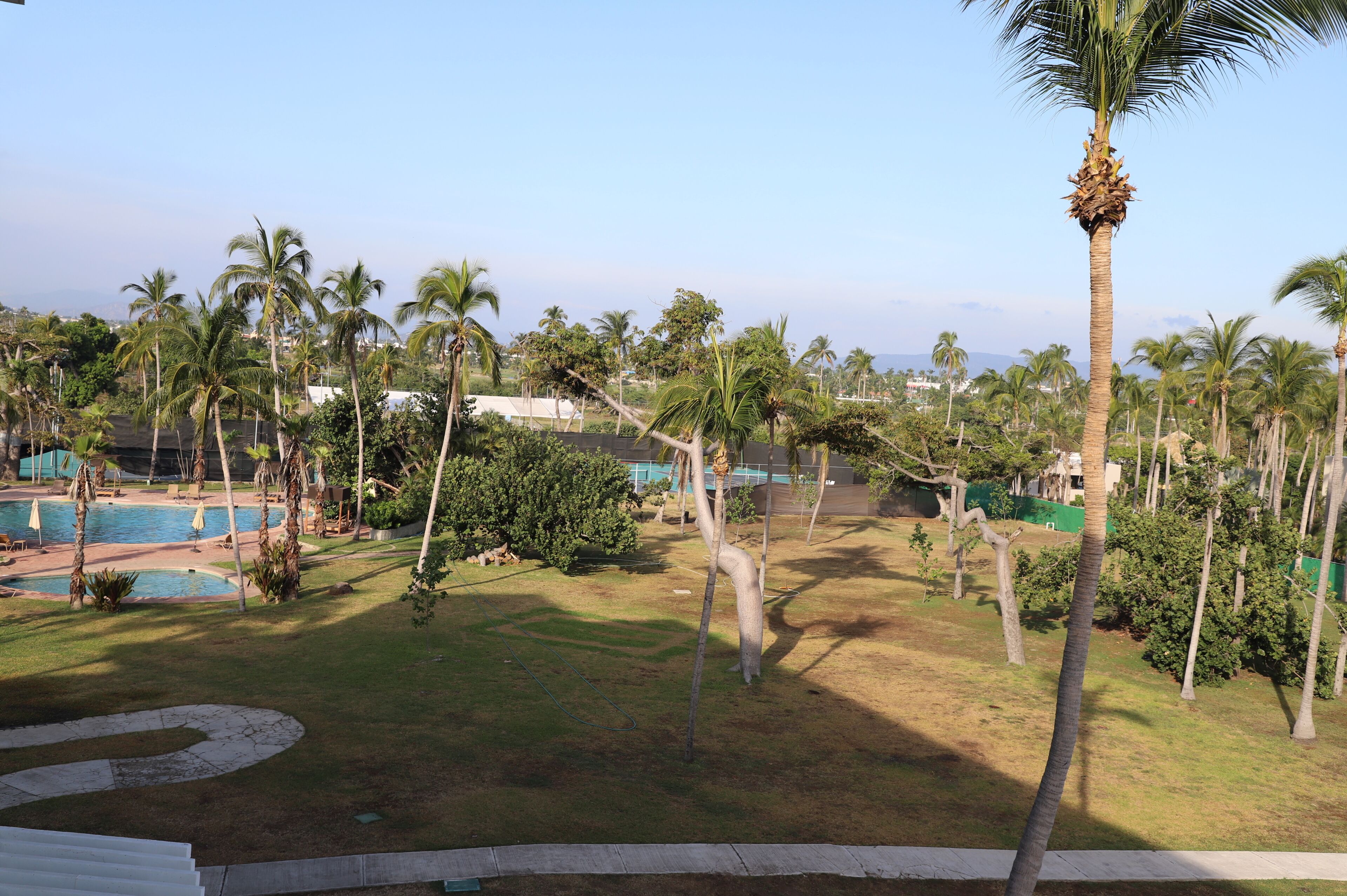 A pool area with palm trees and a grassy lawn.