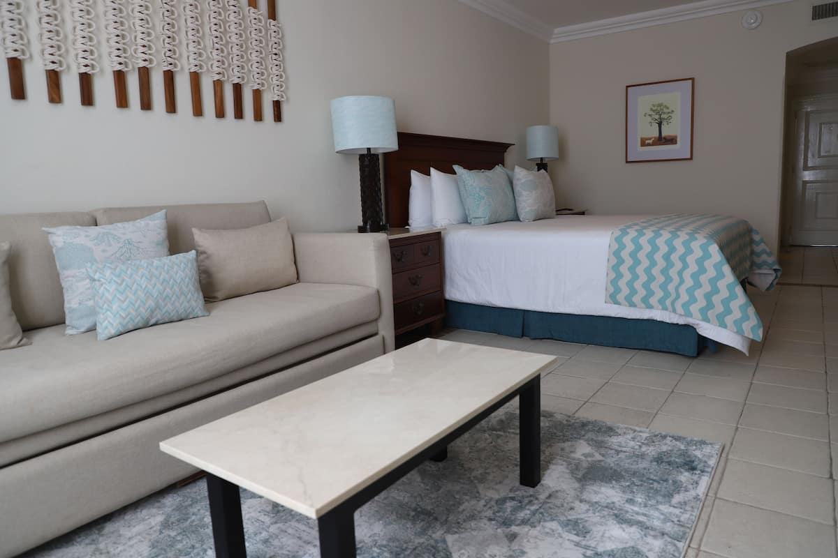 Premium bedding, in-room safe, iron/ironing board, WiFi