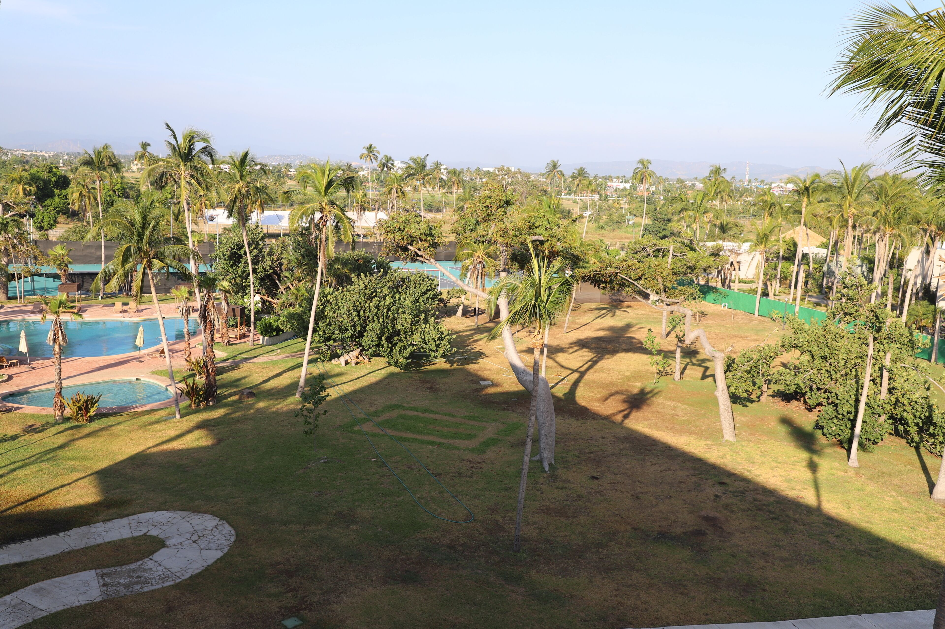 A pool area with palm trees and a clear sky.