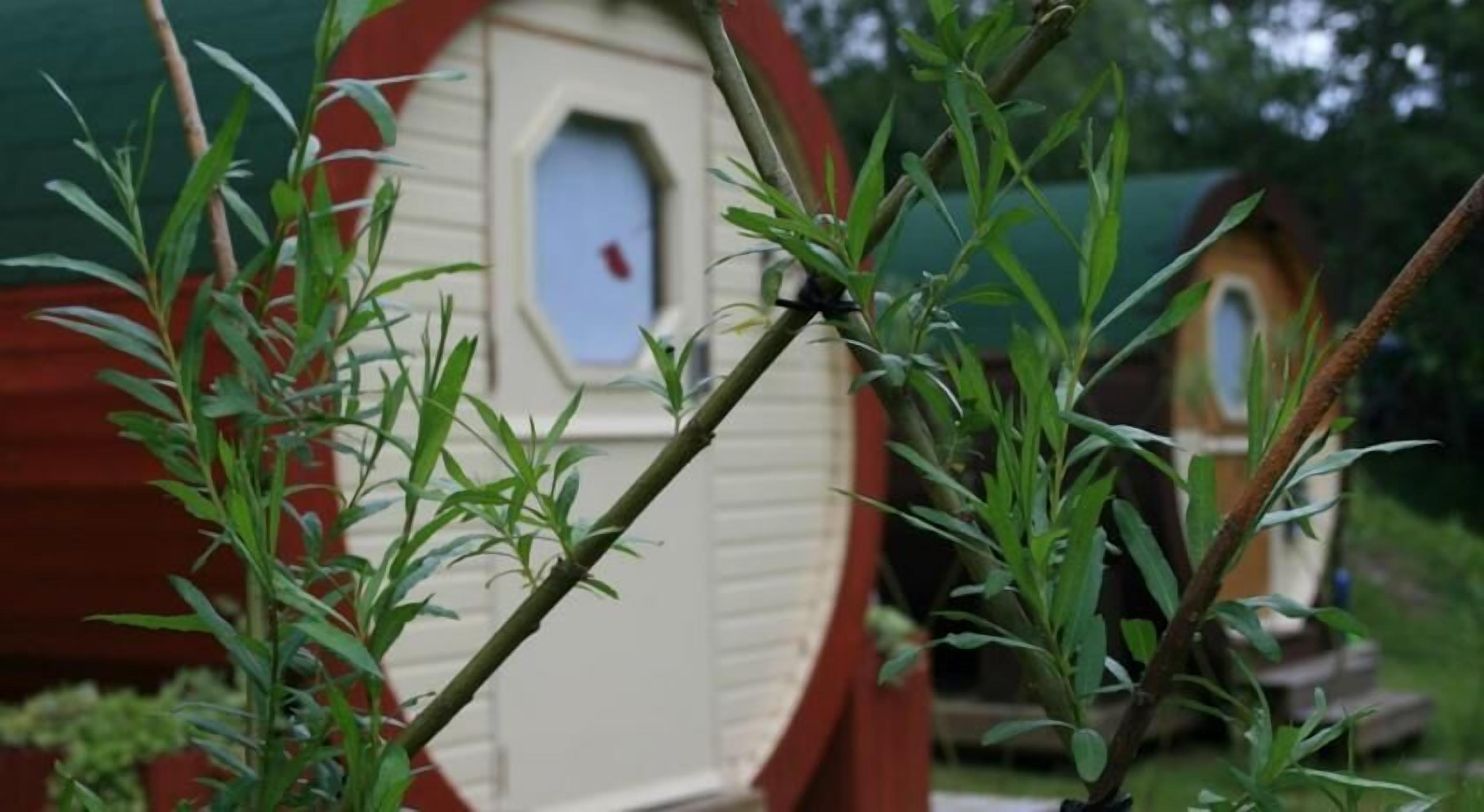 Maqueta de una casa con ventana y puerta visibles, rodeada de follaje.