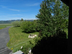 A paved road curving through a grassy area with trees and a mountain range in the background.
