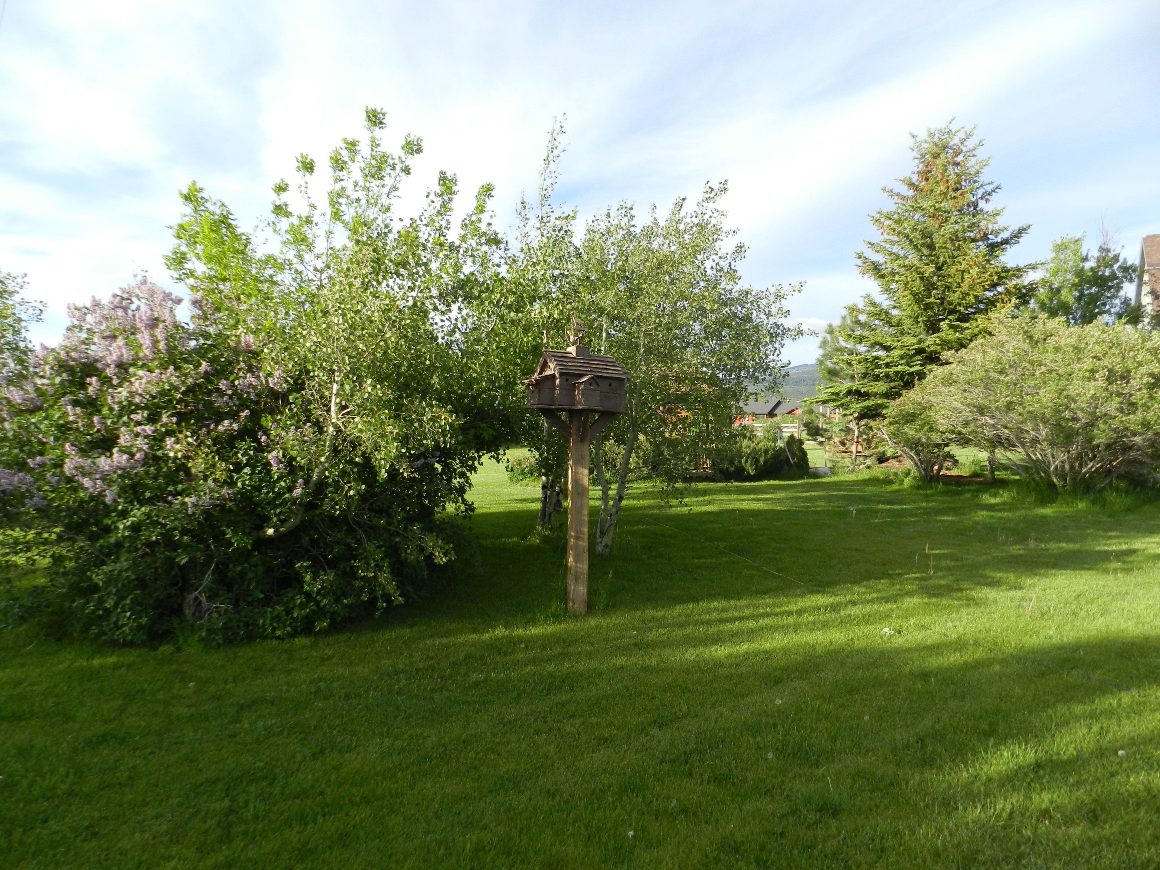 A birdhouse on a wooden post in a grassy garden with trees and shrubs.