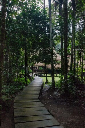 Unclassified image, 2 of 26, button - Jamu Lodge (Aguas Negras)