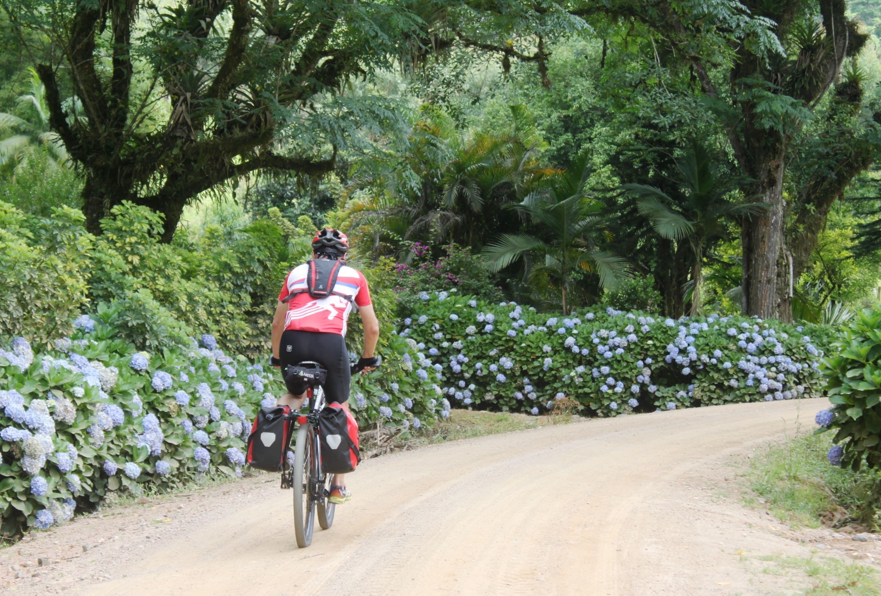 Un ciclista en un camino de tierra rodeado de vegetación exuberante y plantas en flor.